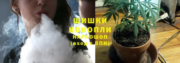 мдпв Волоколамск