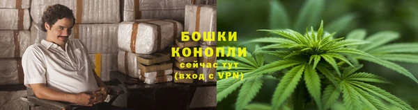 мдпв Волоколамск