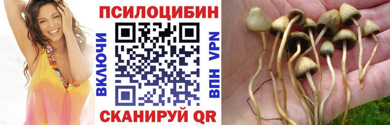 Псилоцибиновые грибы мицелий  Купить где  Красноармейск 